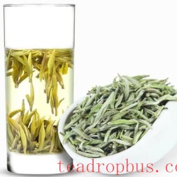 Silver Needle White Tea – A Tea for All Seasons Health Preservation