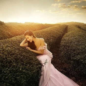 Tea Enthusiast's Essay: The Tea Master, a Leaf's Soulmate