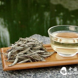 Precautions for Storing White Tea in Different Places