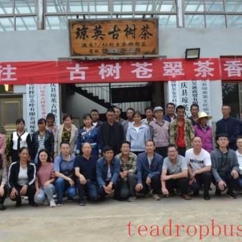Guodazhai Township-s Qiongying Village Hosts Training Session on Ancient Tea Tree Pest and Disease Control