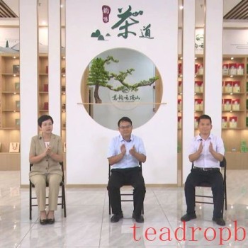 Political Advisory Delegate Suggestions: Build the Yulin Tea Brand and Develop and Expand the Tea Industry