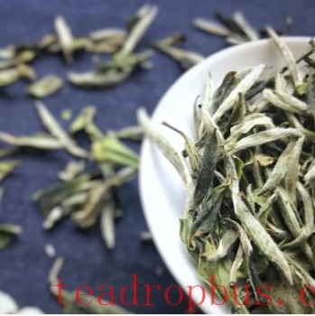 The Great Revelation of White Tea – Debunking Myths and Appreciating Its Beauty