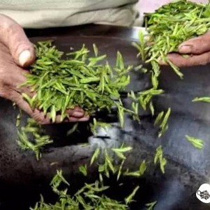 Are Fully Handmade Teas the Only Good-Tasting Teas?