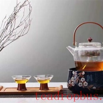 Should White Tea Be Boiled or Steeped?