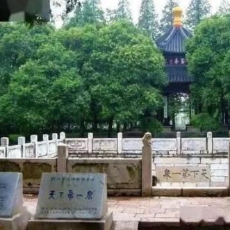Zhenjiang Flourishes Its Tea Industry, Turning "Small Leaves" into a "Big Business"