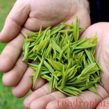How to Select Longjing Tea?