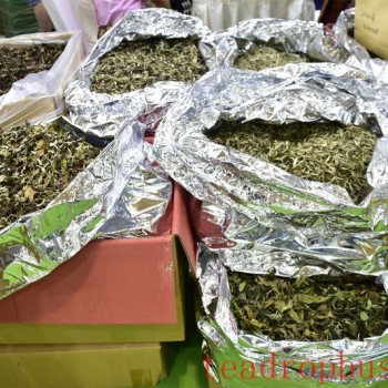 Taste White Tea and Embrace the Flavors of Nature