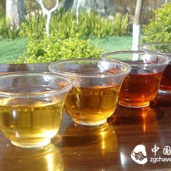 How to Eliminate the "Sour Taste" in Pu'er Tea