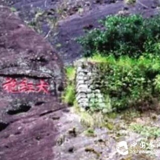 Wuyi Rock Tea: The Six Charms of Da Hong Pao