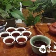 These Tea Drinking Habits Must Be Avoided, Regular Drinkers Take Note!