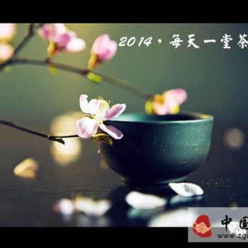 Tea Ceremony Class丨99% of People Don't Know What Tea They Should Drink