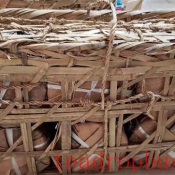 What is the shelf life of Pu-er tea, and how can it be stored long-term?
