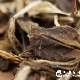 A Tea Treasure That Can Only Be Discovered with Care