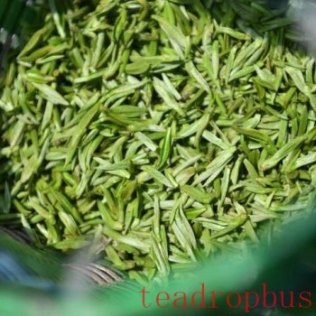 Price of Spring Tea 2024 per Kilogram