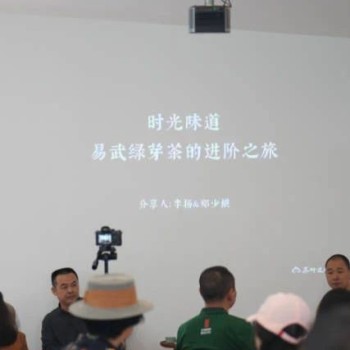 The Storage Cycle of Yiwu Green Bud Tea, Tea Evolution Salon Record No.12 (Part Three)