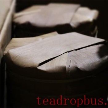 Does Pu-er Tea Need to Be Stored in the Fridge?