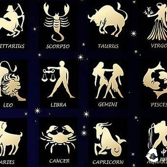 When the 12 Zodiac Signs Meet Pu'er Tea, Which One Are You?!