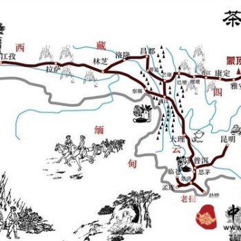 The Diplomatic Role of Tea in History