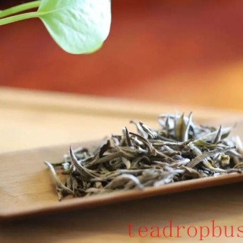 The Correct Way to Savor White Tea: Master These Tips and You-ll Be an Aroma Expert!