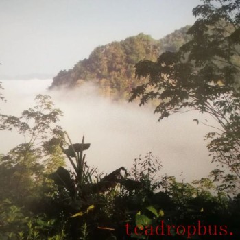 A Walk in the Tea Region of Tianba · Sanhe Society, Yiwu Village, Mengla County, Xishuangbanna Dai Autonomous Prefecture