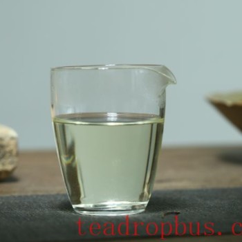 White Tea: Key Brewing Points You Need to Know!