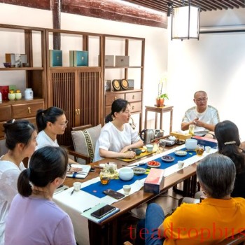 Haishu CPPCC Members- Studio Offers Advice for the Tea Industry!