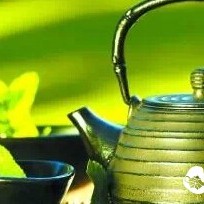 How to Select Autumn Tea: A Must-Know for Tea Enthusiasts