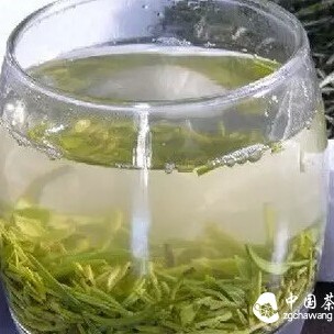 Introduction to the Efficacy and Functions of Yellow Tea
