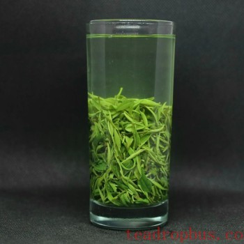 What Kind of Tea Ware to Use for Brewing Green Tea