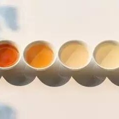 Learning Tea from Scratch: Start with These 4 Stages