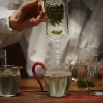 In the world of tea, focus on refining oneself