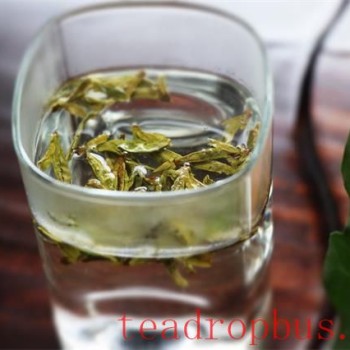 Brewing Green Tea: Techniques and Tips to Remember!