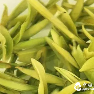 Appreciating the Subtle Differences in Professional Terminology