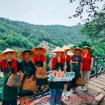 Anji Meixi: Keen to Study, Rich in Tea Aroma