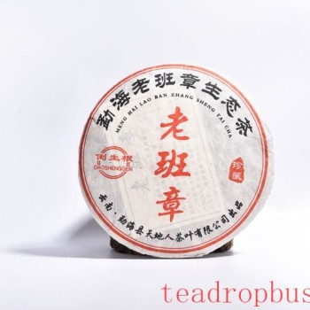 Ten Representative Puer Tea Mountains Known to All
