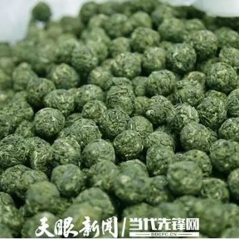 # Gui Mountain-s &quot;Tea Observation&quot; Series Report ③: Leishan Chapter