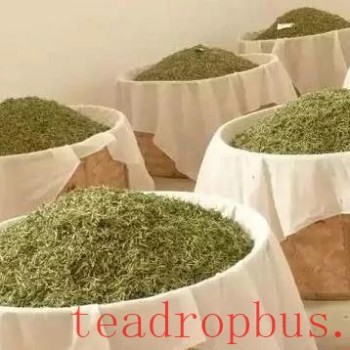 Fuding White Tea: Sun-drying, Charcoal-baking, Electric-baking—Which is Best?