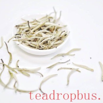 Complete Guide to White Tea