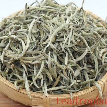 What are the health benefits of white tea, and who is it suitable for?