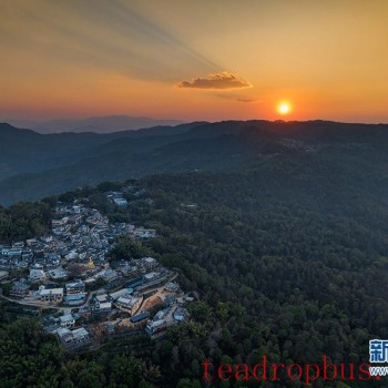 Jingmai Mountain in Yunnan: Ancient Tea Forests and Centuries-Old Affection
