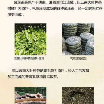 Thoroughly Understand Pu-erh Tea! Save and Read!