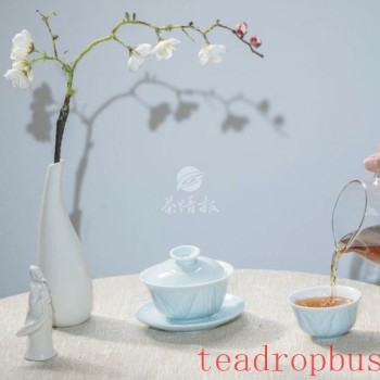 Everyone Says White Tea Is Good, But What Exactly Is So Great About White Tea?