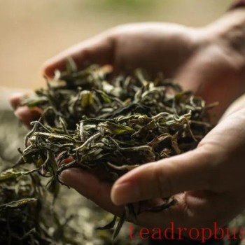 40°C Heat: Your Tea Leaves Are Also Afraid of High Temperatures
