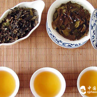 Main Benefits of White Tea Shou Mei