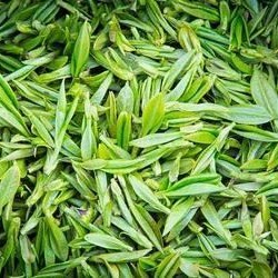 Mengding Ganlu: A Hint of Orchid in Every Sip (Does Mengding Ganlu Have an Orchid Aroma?)