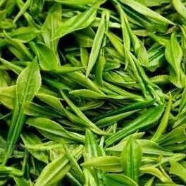 Spring Tea Traps Abound, Buy Tea with Caution!