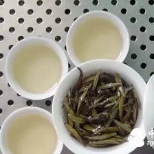 Processing Technology of White Tea