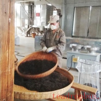 A Day in the Life: Lydia Kung, Verileaf True Teas Corp.