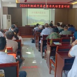Cultivating High-Quality Tea Farmers to Enhance the Development Level of the Tea Industry