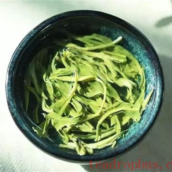 Tea Tales: How Does a Novice Get Started with Tea?